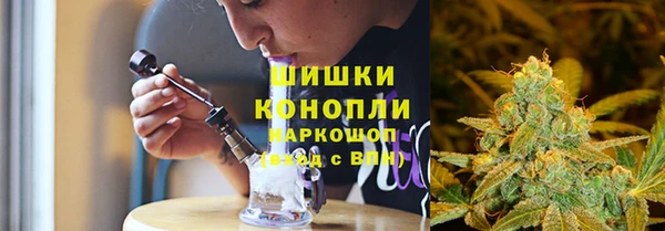 гидра Аркадак