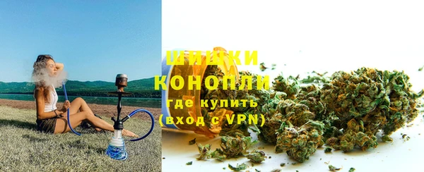 гидра Аркадак