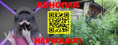 дмт Кингисепп