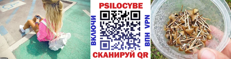 где продают наркотики Волгодонск Псилоцибиновые грибы MAGIC MUSHROOMS