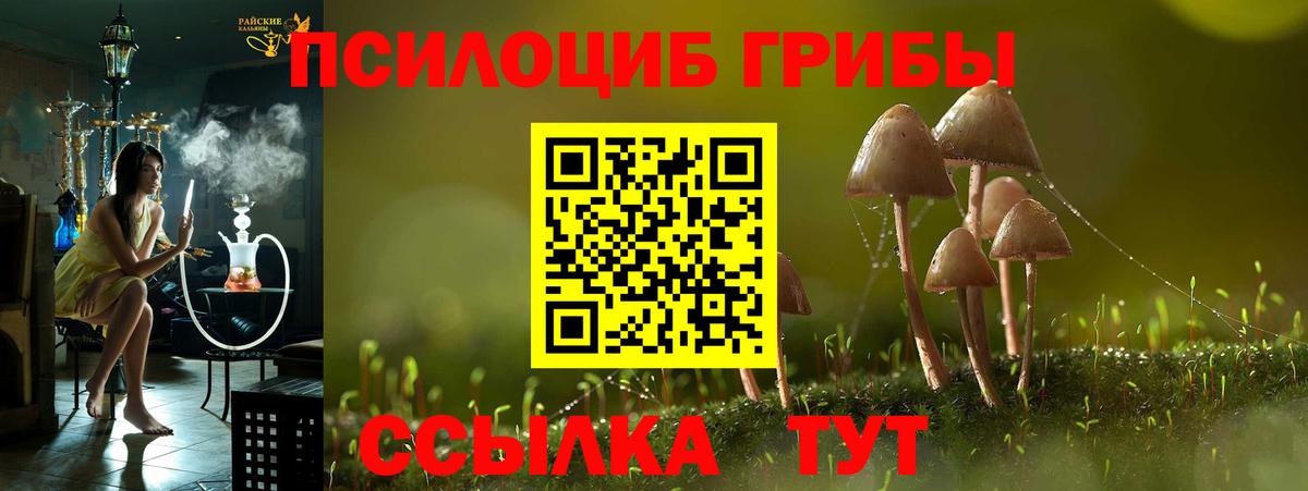Псилоцибиновые грибы мицелий  Вход с VPN  Волгодонск 